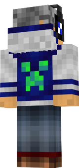 dsgas