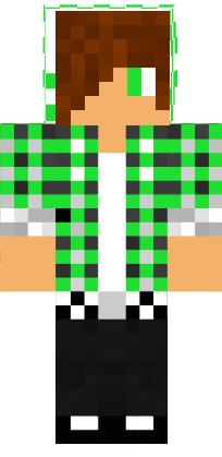 Preview of texture: steve