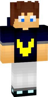 VirosGmaer