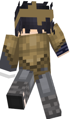 Preview of texture: sas