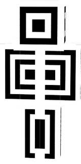 Skin FERP
