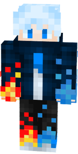 skin