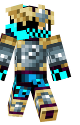 paladin super