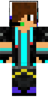 dsgs