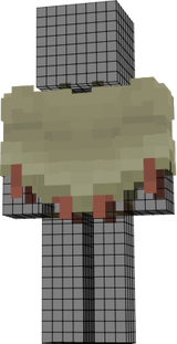 poncho