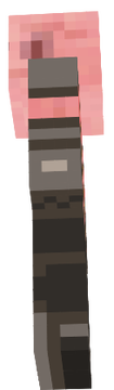 Pig Dwarf