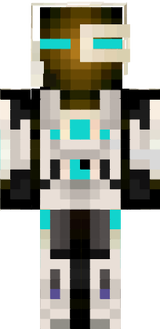 Endercyborg
