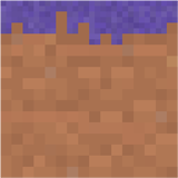 mycelium_side