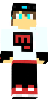 skin 1