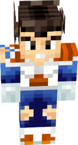 Vegeta Namek Damage