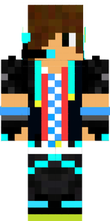 skin