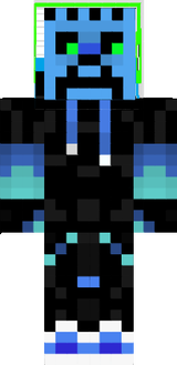 skin