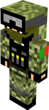 gsgwqgw