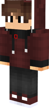 Animet_t
