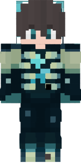 wardenskin