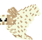 Barn owl