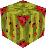 updated melom texture