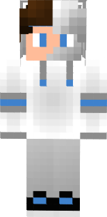 Pingouin2Swag