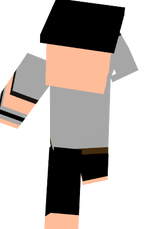 sas