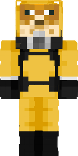 bagysha