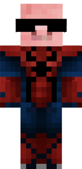 Spaide