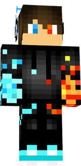 skin