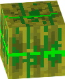 Green Striped melon