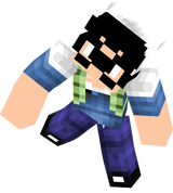 udac fim