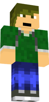 Architect skin