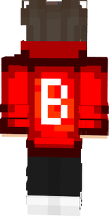 BKZ SKIN