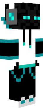 Cool Ender B&Bl