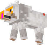 sheep creep