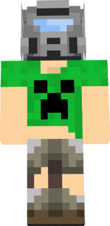 vinidefenix