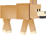 zazanaw