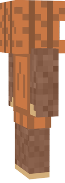 v1