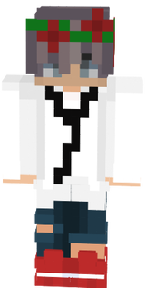 dna v