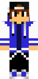 skin 1