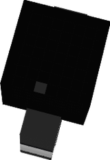 skeleton
