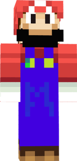 skin