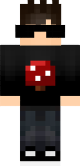 PlayGamerSky