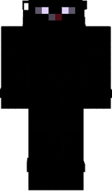 rapi 104