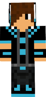 skin 1