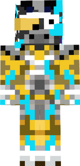 Skin 3