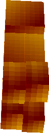 withercreeper