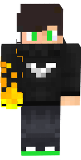 Max TheGamer