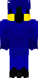 papoušek