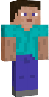 steve_v1