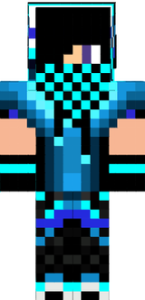 skin