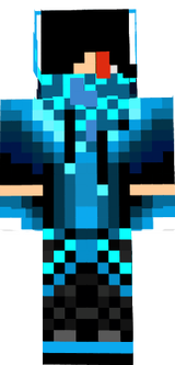 TaySkin