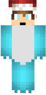 Skin christmas